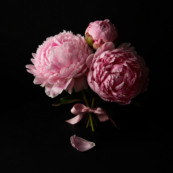 Mother's Day